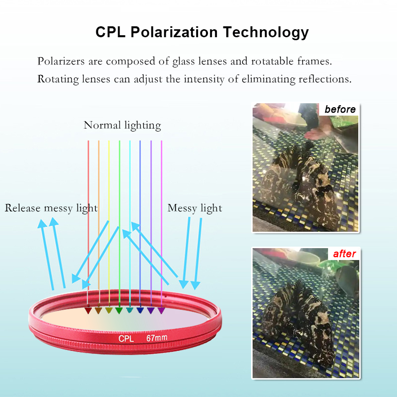 CPL フィルター アンチグレア 52mm 67mm 円偏光 - Photography Outdoor のレビューと価格